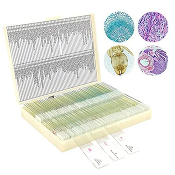 Stikla Mikroskopa Priekšmetstikliņi Ar Paraugiem No Bērniem, Mikroskopu Slaidi Pieaugušo Mikrobioloģija, Bērniem,100PC