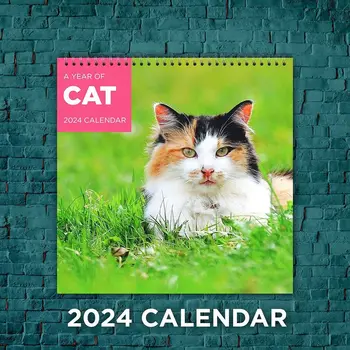 12inch Katastrofas Kaķi Kalendārs Laika Plānošana Papīra Karājas Kalendārs jaungada Dāvanas Sienas Dekori Funny Kaķis Sienas Kalendāru Mājās