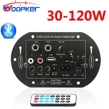 Woopker Bluetooth Audio Pastiprinātāju Valdes Subwoofer un Saderīgu FM Radio 110V, 220V 12V 24V Digitālo Amp Modulis