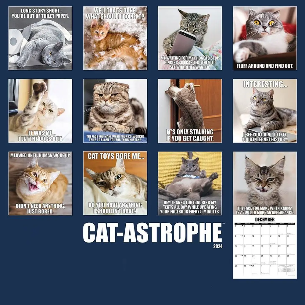 12inch Katastrofas Kaķi Kalendārs Laika Plānošana Papīra Karājas Kalendārs jaungada Dāvanas Sienas Dekori Funny Kaķis Sienas Kalendāru Mājās3